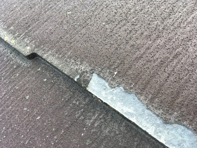 パミールのため屋根カバーをご提案